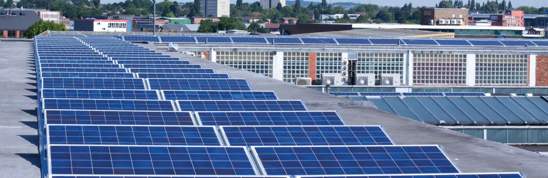 Descriptive Alt Text